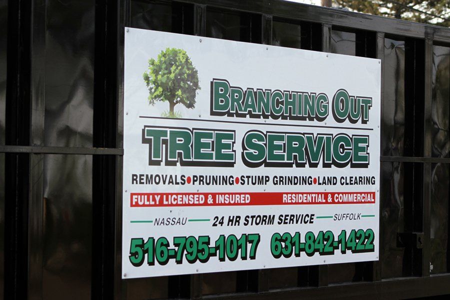 Tree Cutting & Trimming Nassau County Image